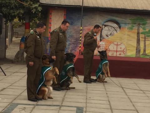 Acto cívico - Celebración del día del Carabinero. image 21