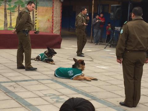 Acto cívico - Celebración del día del Carabinero. image 23