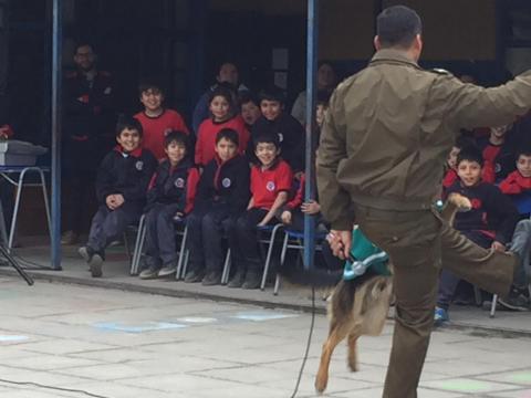 Acto cívico - Celebración del día del Carabinero. image 25