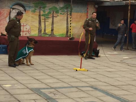 Acto cívico - Celebración del día del Carabinero. image 26