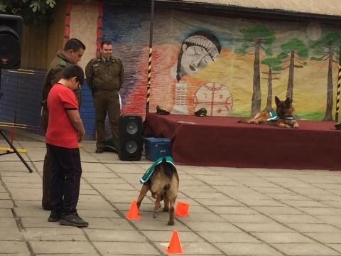 Acto cívico - Celebración del día del Carabinero. image 42