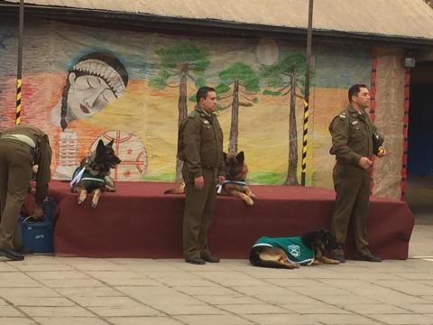 Acto cívico - Celebración del día del Carabinero. image 51